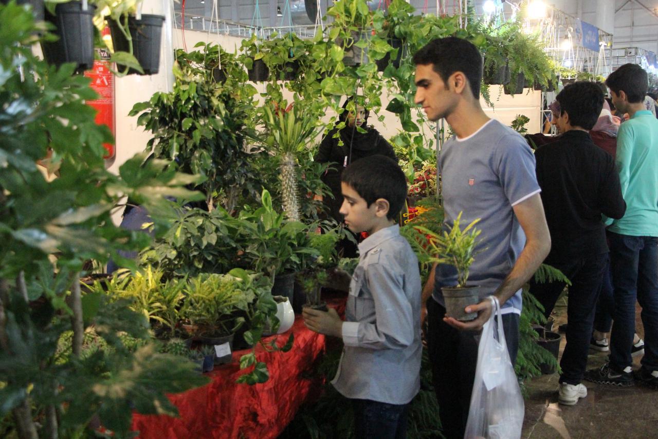گزارش تصویری دومین روز نمایشگاه گل و گیاه 98 مشهد